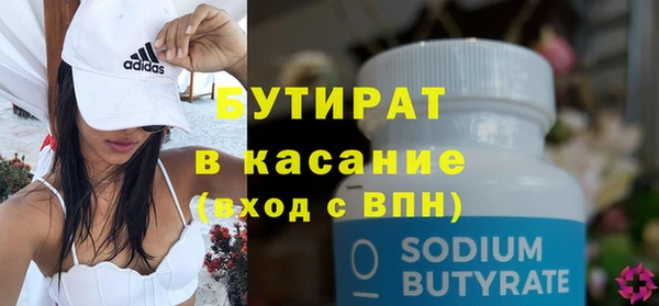индика Каменка