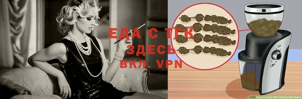 индика Каменка