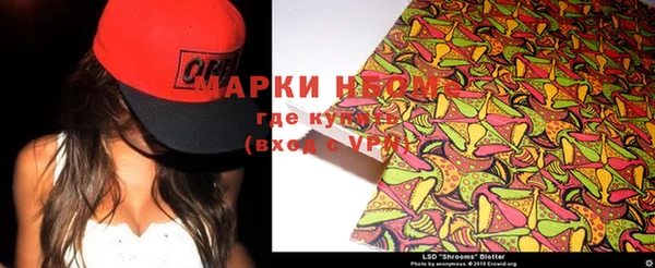 сатива Касимов