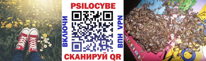 Галлюциногенные грибы ЛСД  Ливны 