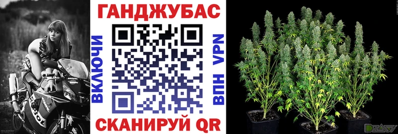МЕГА ССЫЛКА  Ливны  Канабис SATIVA & INDICA 